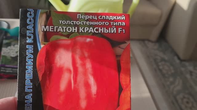Всходы перца и цветов на 19 февраля! Ленинградская область.