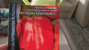 Всходы перца и цветов на 19 февраля! Ленинградская область.