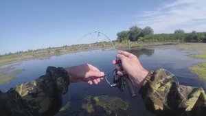 Мормышинг в августе. Плотвиное эльдорадо. Стеклянный XUL.