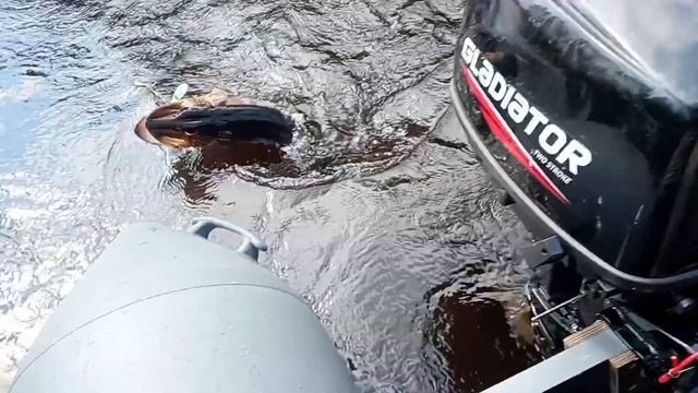 ловлю много щук смотреть онлайн