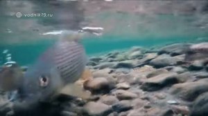 Лодки Фрегат в экстремальных условиях!