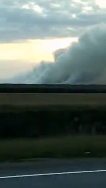 Теперь гарят рисовые чеки смотреть онлайн