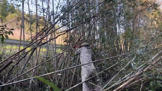 【山開拓】未開の土地を開拓する（463話） смотреть онлайн