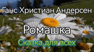 Ганс Христиан Андерсен, Ромашка #сказкидлявсех