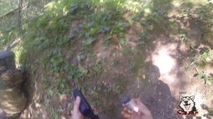 Вог Тюльпан