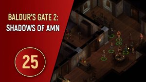 ПРОХОЖДЕНИЕ BALDUR'S GATE 2 - ЧАСТЬ 25 - ТРИ ИСТОРИИ