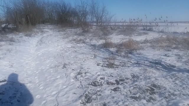 VID_20250220_101001