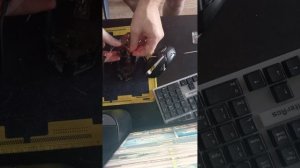 Как починить мышку колёсико.