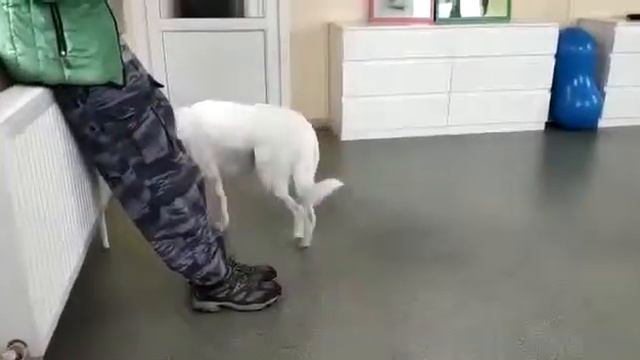 29 марта 2019 г. смотреть онлайн