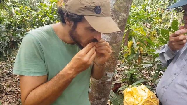 Diários da comida - MACAMBO смотреть онлайн