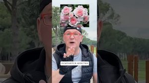 10 сортов роз, которые растут как сорняк