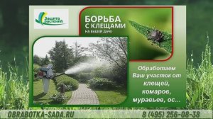 Обработка от клещей, комаров, мух и мошки на дачных участках и любых других территориях. Звоните.
