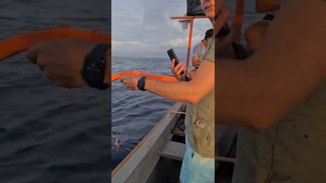 Премудрости Бали