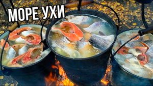 СТОЛЬКО УХИ ВЫ НЕ ВИДЕЛИ !!! Уха из осетра, семги, муксуна, щекура! Чемпионат по Зимней Рыбалке !