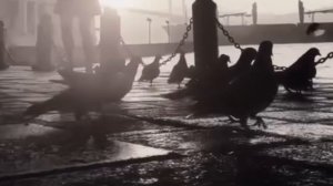 Ты любил меня Елена Прошкина Автор стихов Валентина Яковлева Автор музыки Елена Прошкина