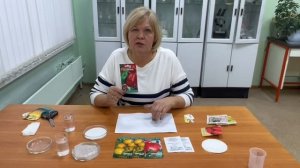 Проверяем на всхожесть просроченные семена томата и перца