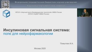 Помыткин Игорь Анатольевич. Инсулиновая сигнальная система в мозге: поле для нейрофармакологии,