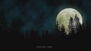 Космическая Флейта с красивыми видами Природы и Звуками Вышних Сфер