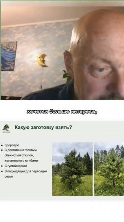 Какую заготовку взять?