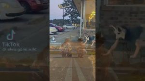 ╺⃝⃤Клип про квадробику "Soldier"╺⃝⃤ (!Видео взяты из тик тока, они не мои!)