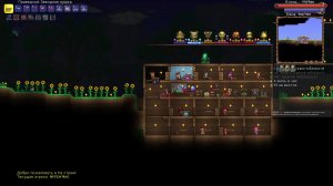 В хардмоде не вкустно, Terraria, 3 запуск