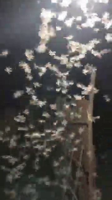 uhe berdw laidaw смотреть онлайн