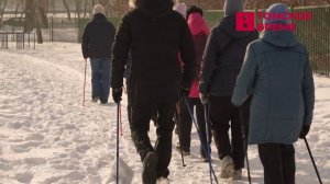 В Томске занятия по скандинавской ходьбе стали доступнее