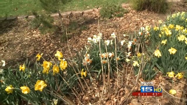 Cold Plants смотреть онлайн