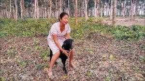 sitting goat village girl riding 😍