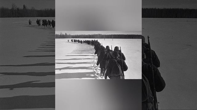 Я убит под Ржевом.А.Твардовский.2025.Черткоти Д.С.#video# music#status#