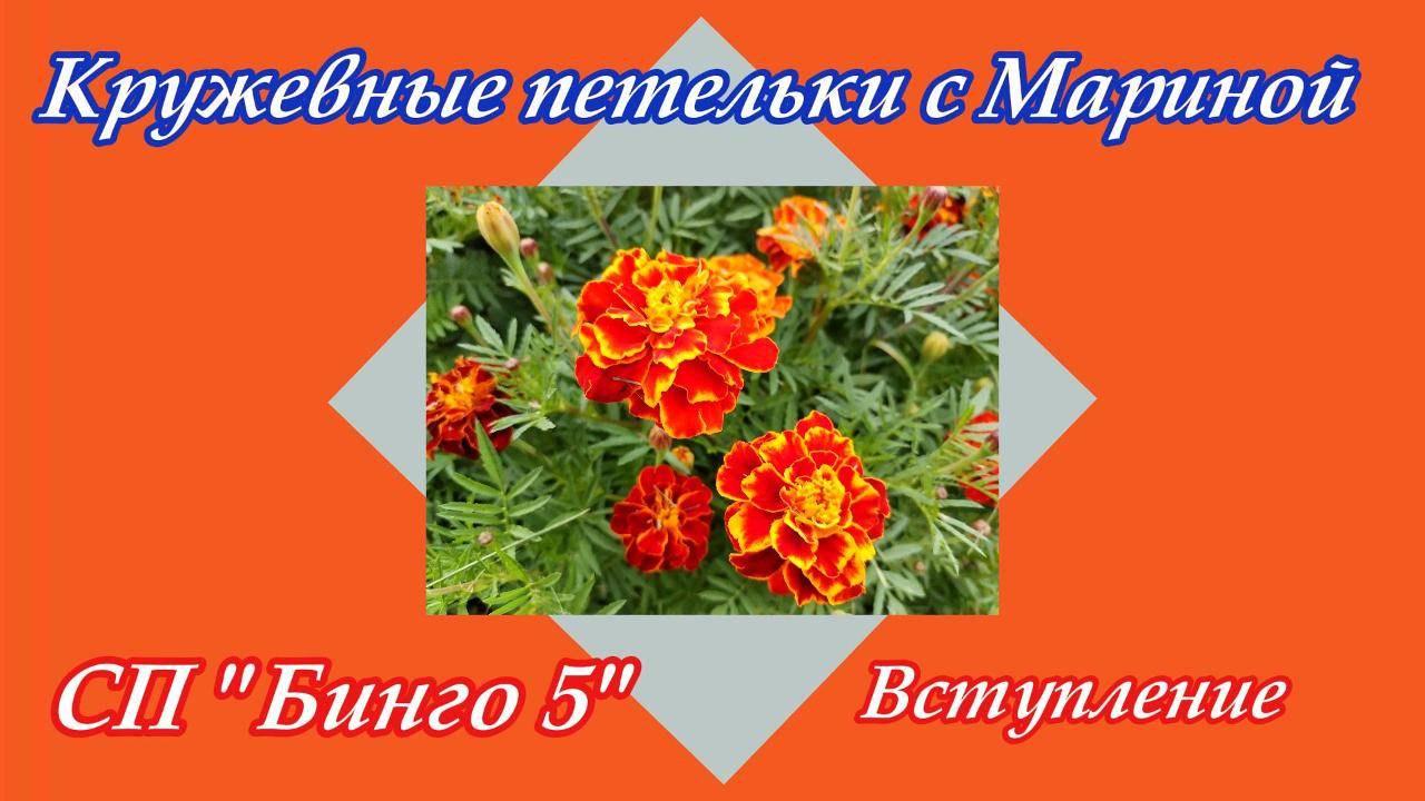 СП "Бинго 2025" / Вступление