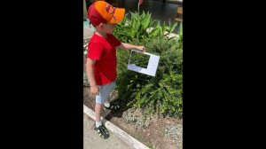 Конкурс видеороликов «Лето-2024»