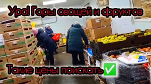 Бегом в "Светофор" Такого давно не было!Такие цены поискать! Обзор февраль 2025