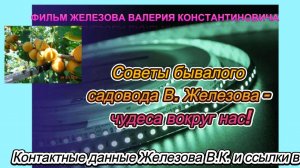 Советы бывалого садовода В. Железова - чудеса вокруг нас!