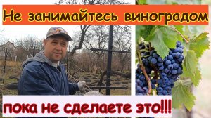 🔴Шпалера для Винограда Двухплоскостная🔴Своими Руками🔴Металлическая Опора из Труб и Арматуры🔴