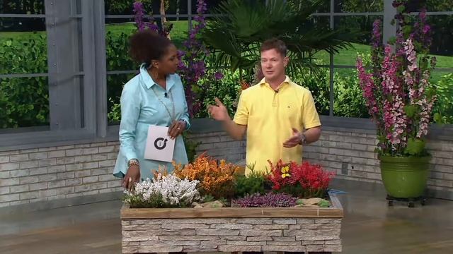 Roberta's 4-piece Spring & Summer Heather Collection on QVC смотреть онлайн