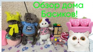 Обзор дома Басиков