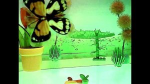 Волшебный лес