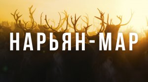 Танец оленей в золотой тундре: магия Севера