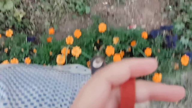 Приезд в Актобе 🇰🇿🧳живу у бабушки 🎬новые книги🌃🎡 смотреть онлайн