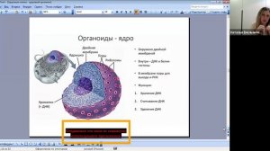 Здоровье клетки - здоровый организм!