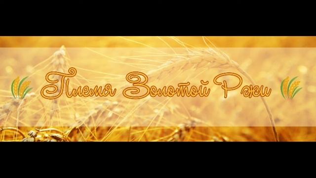 🌾 Рекламка♡🌾