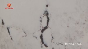Кварцевый камень Asterum Himalayas (Гималаи)