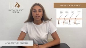 Отрывок из объёмного онлайн-курса "Browmaker-стилист" Теория