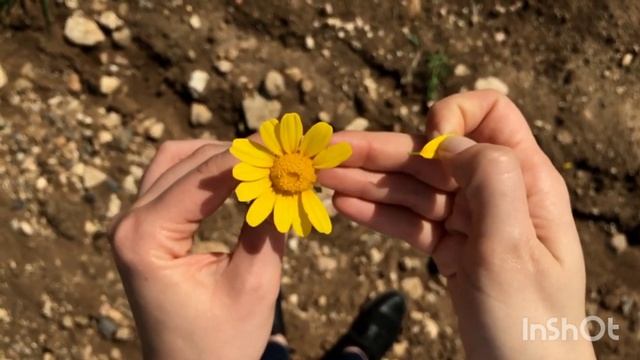 Шанс измениться - ANYA KLUKVA | Не бойтесь измениться, следуй за мечтой смотреть онлайн