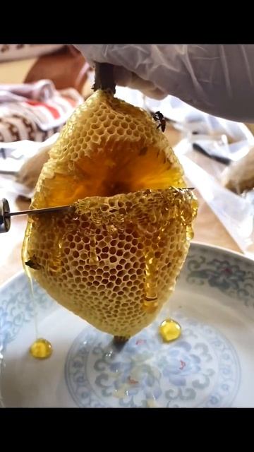 Honey #6 смотреть онлайн