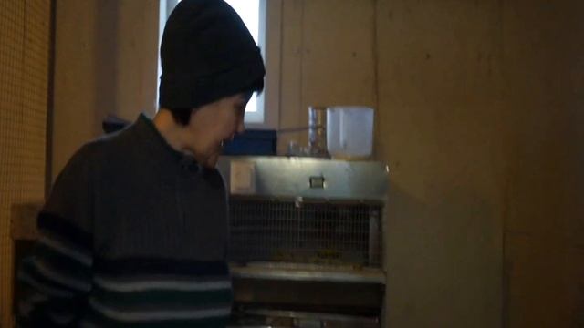 Знакомство с курятником смотреть онлайн