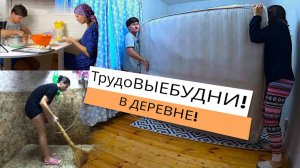 ЖИЗНЬ В ДЕРЕВНЕ! МНОГО ДЕЛ, но уже ВИДЕН РЕЗУЛЬТАТ! Что делать зимой на Кубани молодым?! ТеплЭко