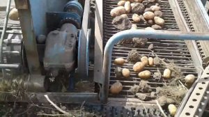 bolko643 jinma 224 чорнозём