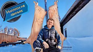 Перегнал молодых супоросных свиноматок в опоросные станки! Деревенская жизнь